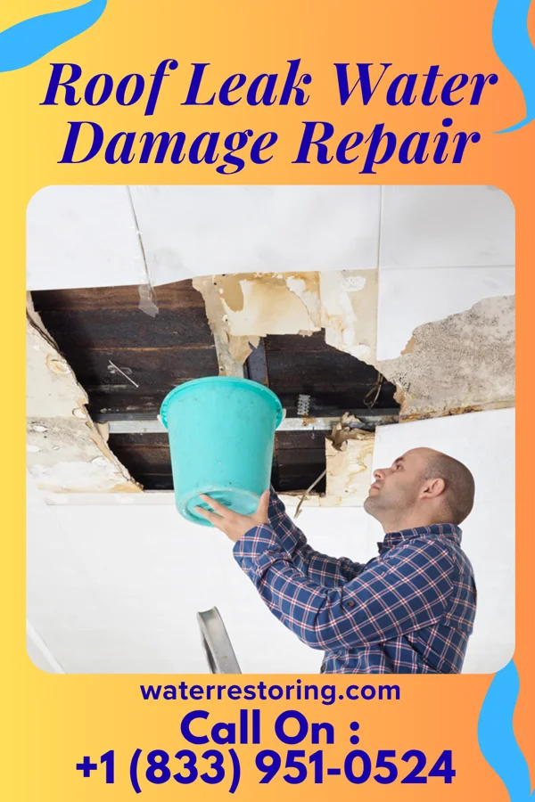 Roof Leak Water Damage Repair in Climax, GA